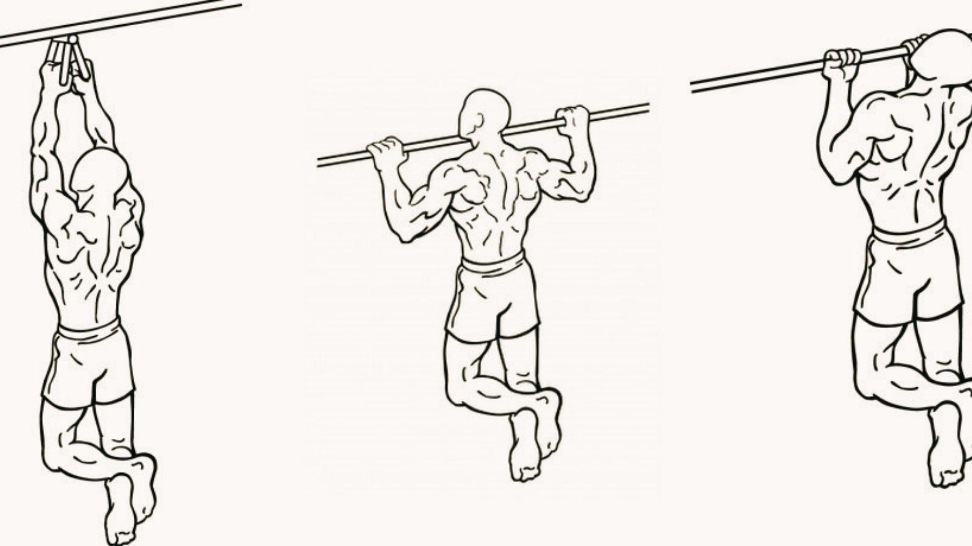 Line drawing showing three pull-up variations including close neutral grip hang, wide grip pull-up, and behind-the-neck pull-up