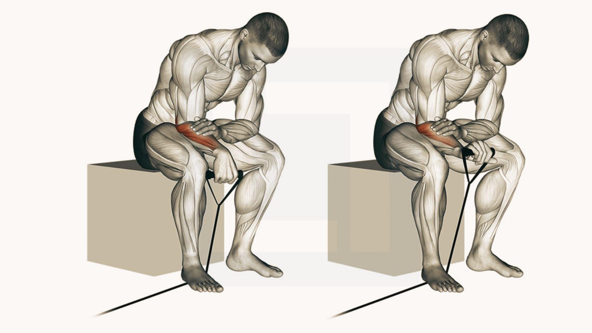 Line illustration of wrist stretch with arms extended, opposite hand pulling fingers back, arrow showing extension direction