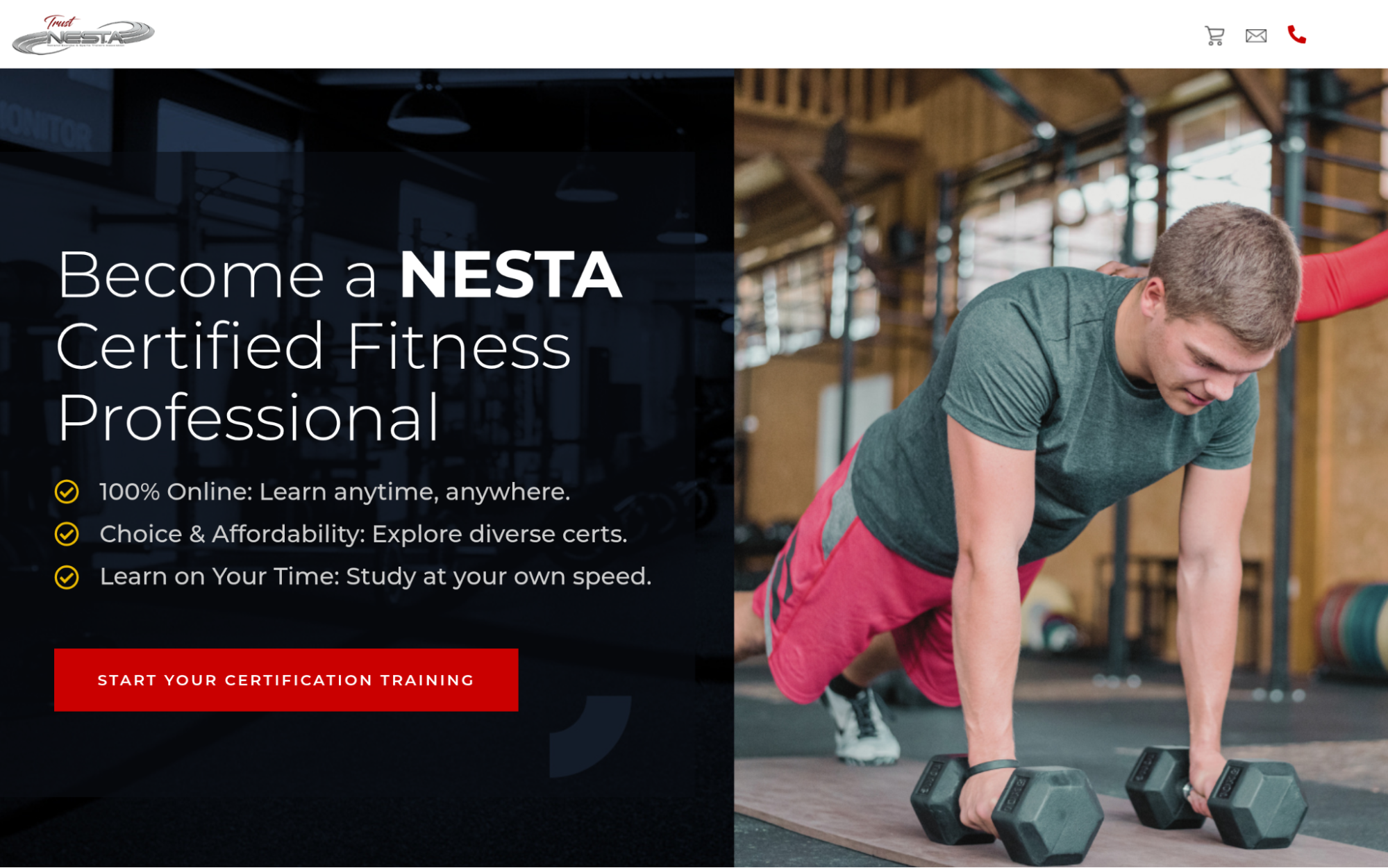 Website page for Nesta, showcasing fitness programs and professional services offered by a fitness expert.