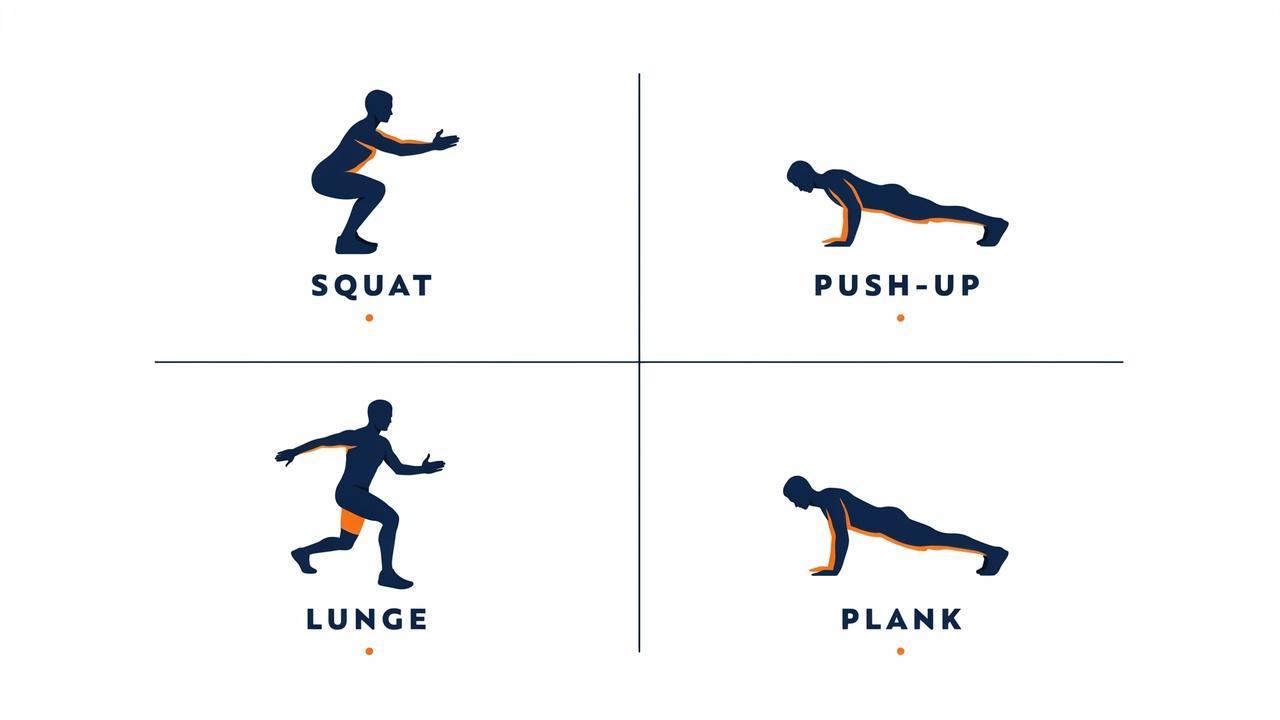 A fitness illustration showing four bodyweight exercises in a grid layout: a person doing a squat, a person doing a push-up, a person doing a lunge, and a person holding a plank.