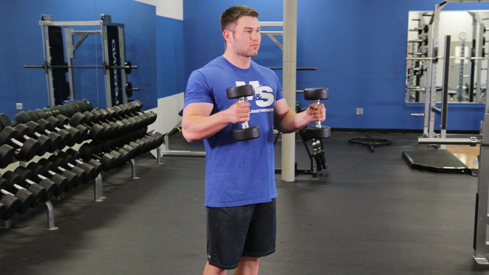 A man in a blue Muscle & Strength t-shirt stands in a gym holding two dumbbells while doing hammer curls to work the biceps and forearms.