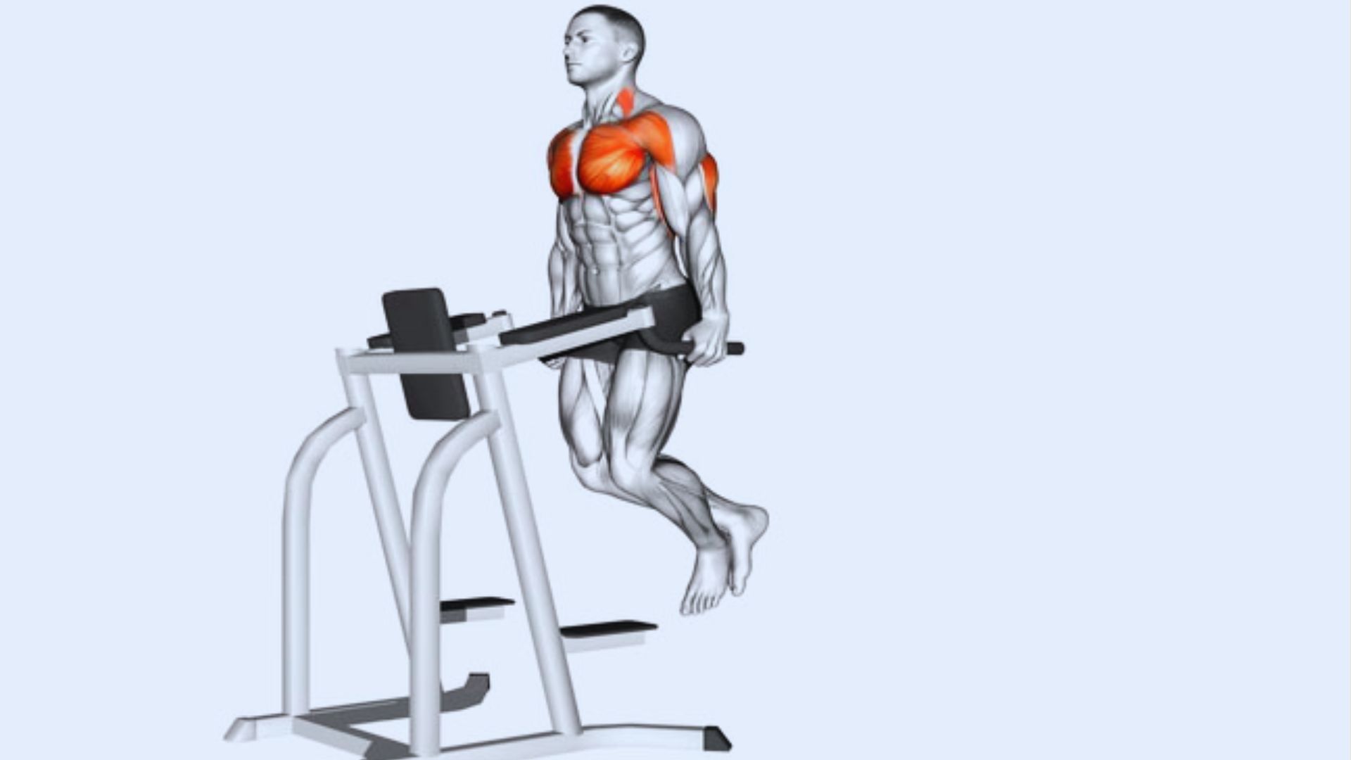 A man performing a chest dip on parallel bars with the pectoralis major (chest) muscles highlighted to show activation.