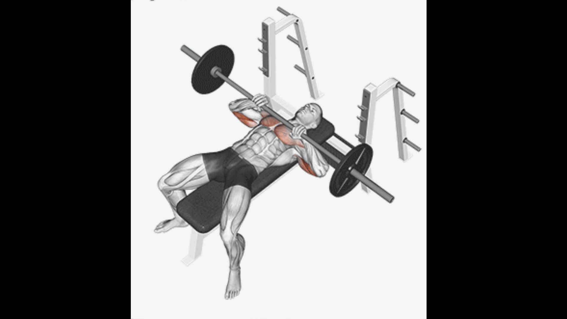 Anatomical illustration of a man performing a close-grip barbell bench press.