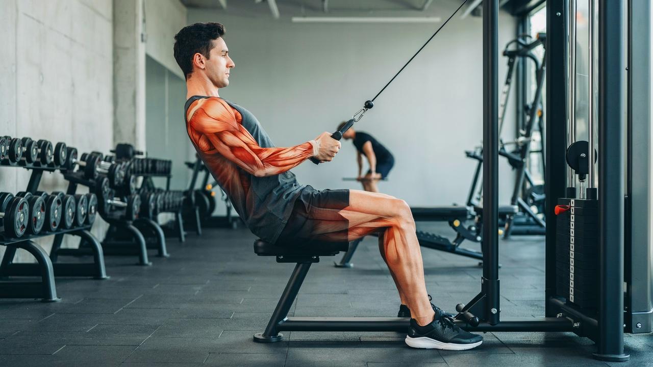 Low cable row targeting the lower lats and middle back.